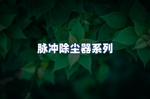 脉冲除尘器展示